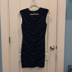 Zebra stripe dress (blue and black)